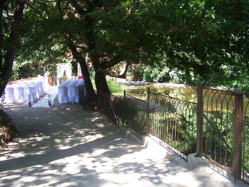 Mas de la Grillonne_83260 LA CRAU_13 Mas de la Grillonne_83260 LA CRAU_13
